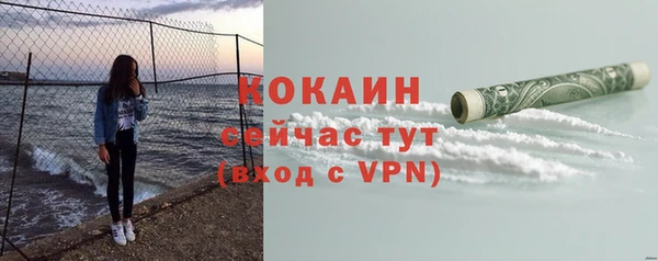 мдпв Протвино