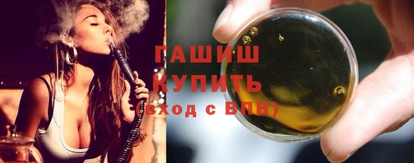 стаф Губаха