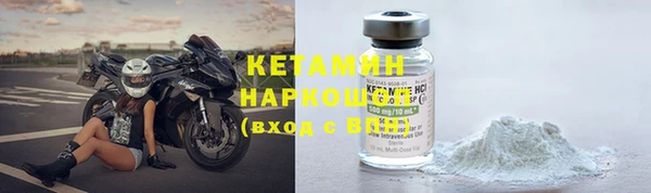 стаф Губаха