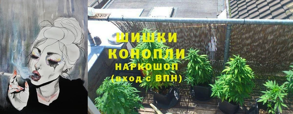 стаф Губаха