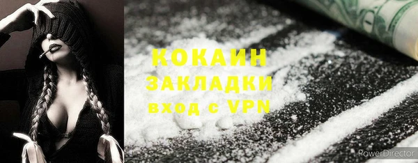 мдпв Протвино