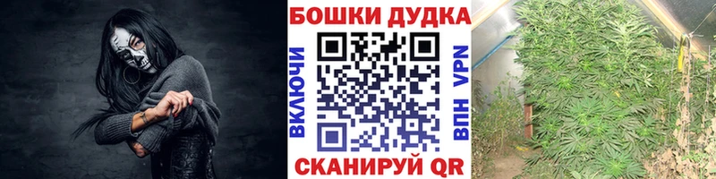 Конопля AK-47  Сортавала 